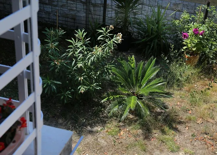 Garden Luxury Гостьовий будинок