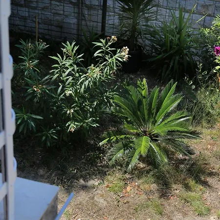 Garden Luxury Affittacamere