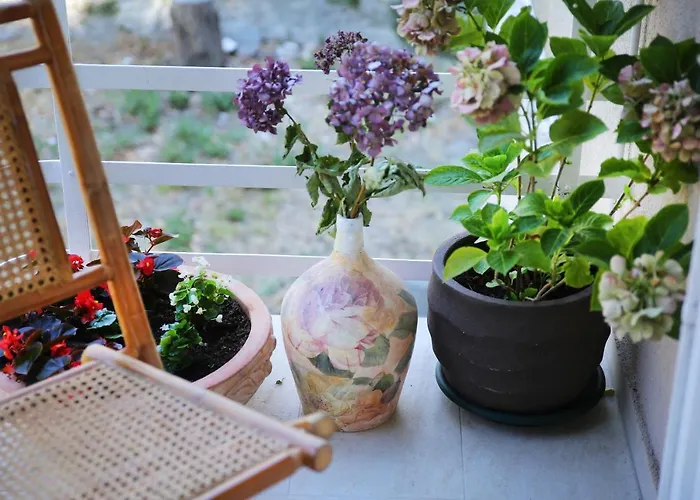 Garden Luxury Pensionat 4*